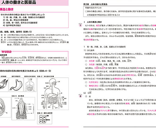 テキストの中身